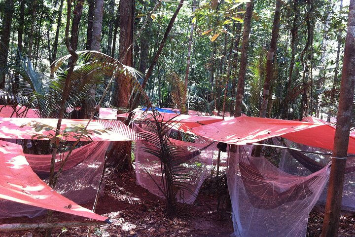 Dinner and Overnight in the Jungle in Manaus - Photo 1 of 7