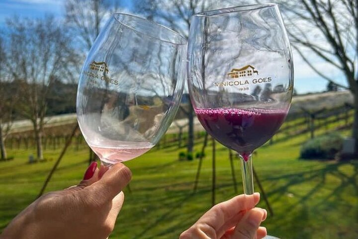 Flavours DE São Roque. DE tasting fine and sparkling wines - Photo 1 of 11