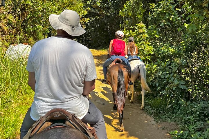 Horseback riding in the Atlantic forest BY PARATY TOURS - Photo 1 of 21