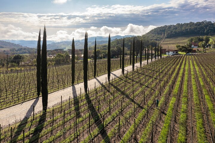 Full-Day Private Vale dos Vinhedos Wine Tour from Porto Alegre - Photo 1 of 6