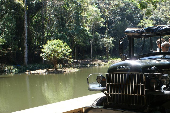 Tijuca Rain Forest Jeep Tour from Rio de Janeiro