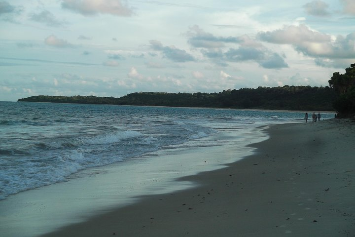 Horse back riding and Eco tourism food and fun. - Photo 1 of 6