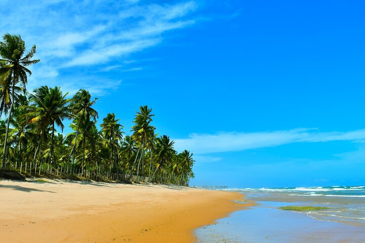 Serenity Shore Stroll Jauá Beach, visit a hidden gem. - Photo 1 of 10