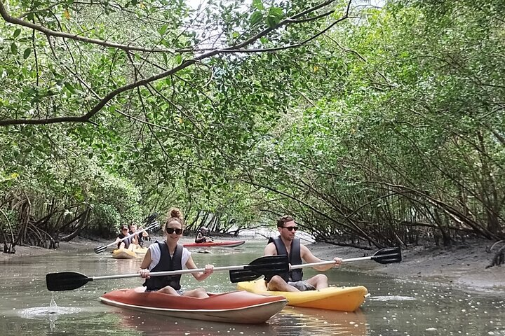 Kayaking to the mangroves - Photo 1 of 25