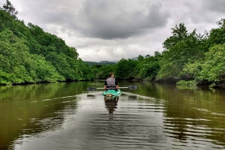 Kayaking to the mangroves + Sunset in Paraty - Photo 1 of 25