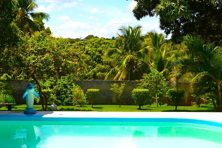 One day in paradies, relax and swim in our troical garden (lunch included) - Photo 1 of 7