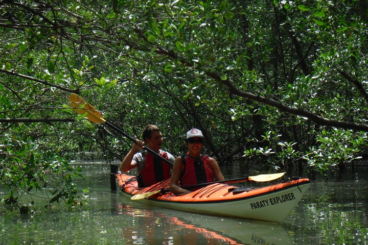 Mangrove kayaking