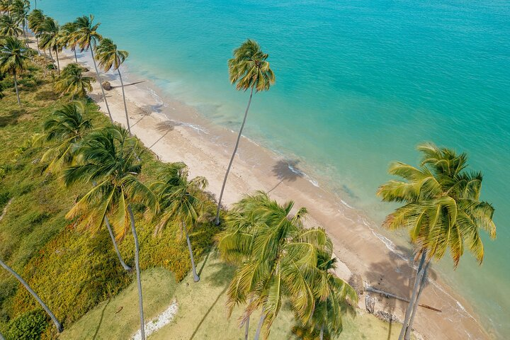 Patacho Beach Tour from Maceió - Photo 1 of 13