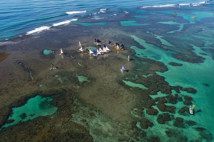 Natural Pools of Porto de Galinhas