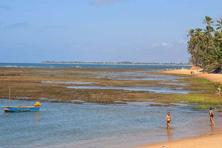 Praia do Forte Full Day Tour, Salvador, Bahia, Brazil - Photo 1 of 12