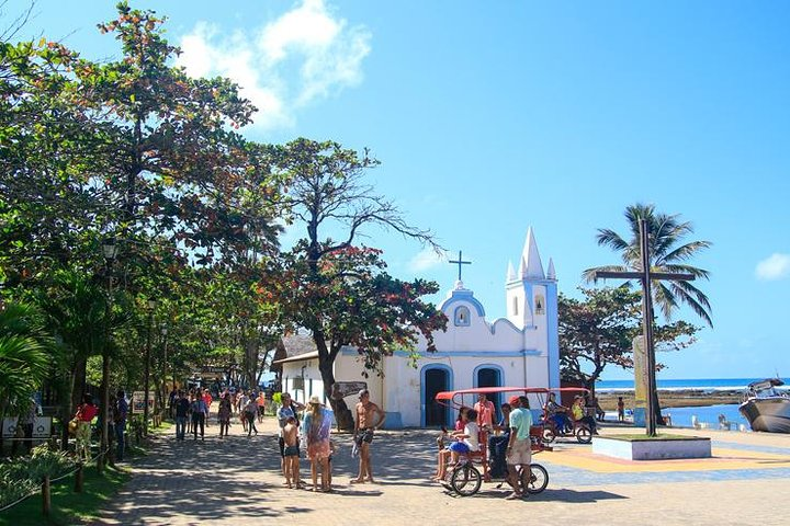 Praia do Forte Full Day Tour, Salvador, Bahia, Brazil - Photo 1 of 3