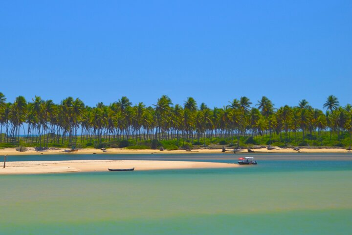 Praia do Forte SUV beach hopping tour of the Coconut Coast - Photo 1 of 13