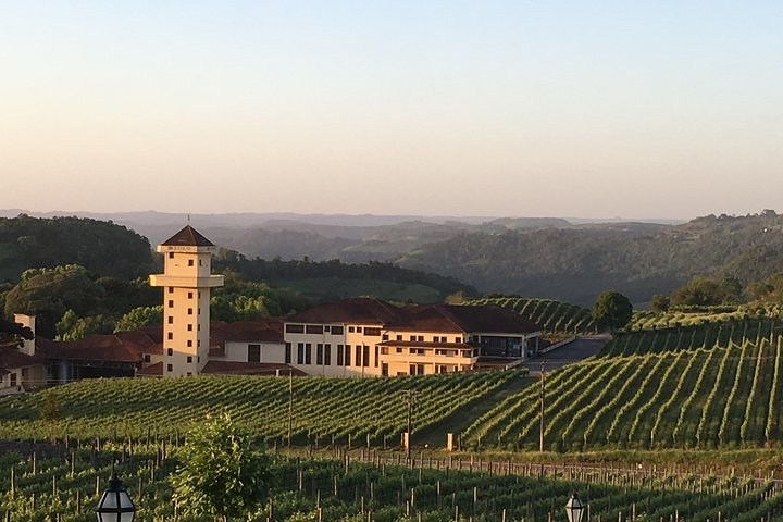 Vineyard Valley to Brazilian Tuscany