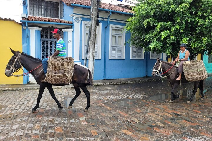 Typical Transport in the Countryside