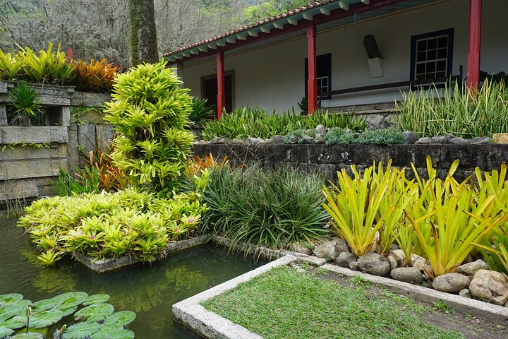 Landscape Experience in Rio: Inspired by Roberto Burle Marx - Photo 1 of 14