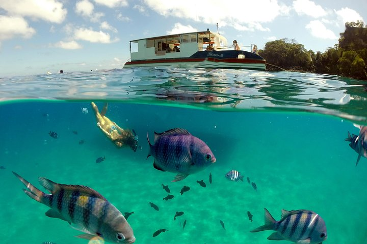 Boat Cruise and Sancho Bay Swim from Fernando de Noronha - Photo 1 of 10