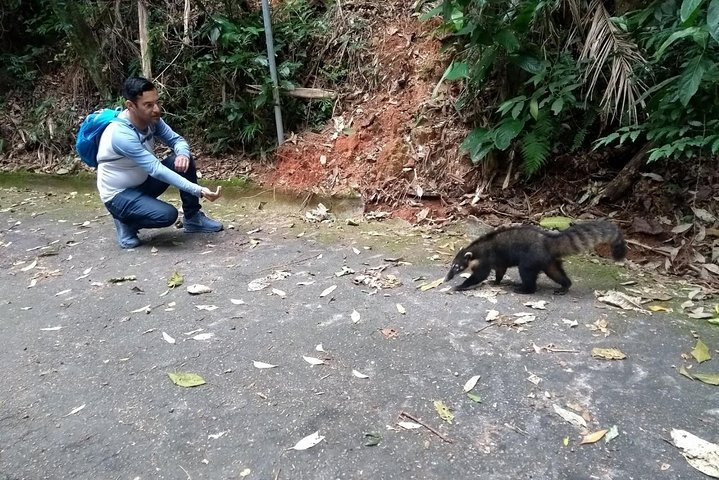 Tijuca Forest National Park - Photo 1 of 7