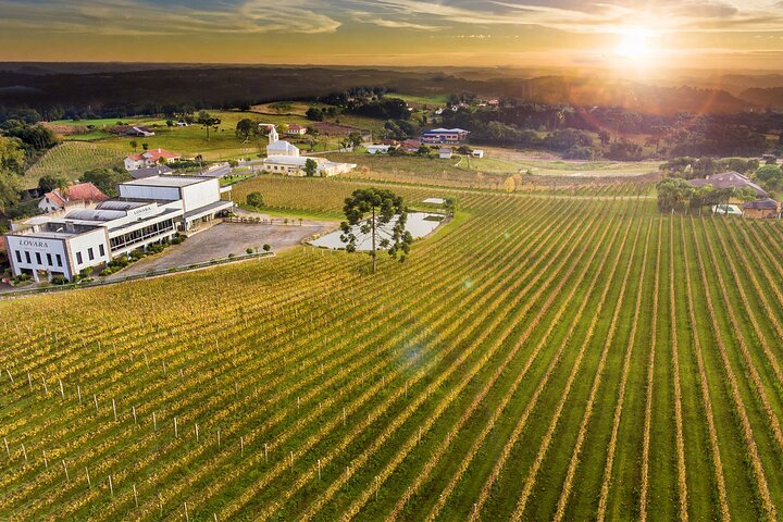 Tour Gran Reserva - Valley of the Vineyards - Photo 1 of 14