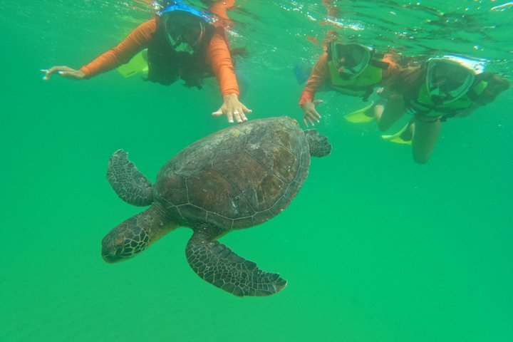 Bombinhas Tour with Snorkeling at Sepultura Beach - Photo 1 of 21