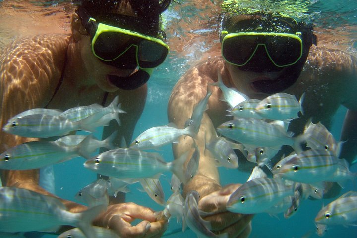 From Natal: Tour To Maracajaú With Catamaran Ride and Snorkling - Photo 1 of 6