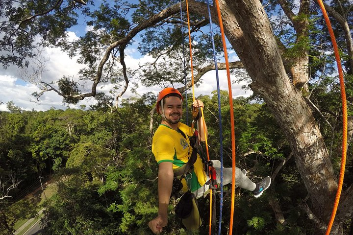 Tree Climbing in the Amazon - Photo 1 of 8