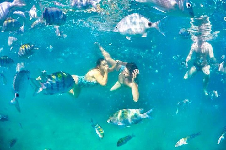 Tropical Paradise Ilha Grande on a Private Fastboat Tour - Photo 1 of 18