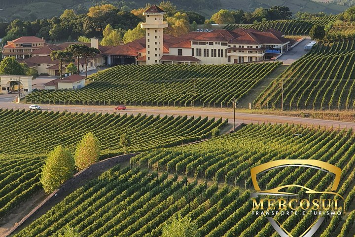 Vale dos Vinhedos: Private Group Tour from Porto Alegre - Photo 1 of 25
