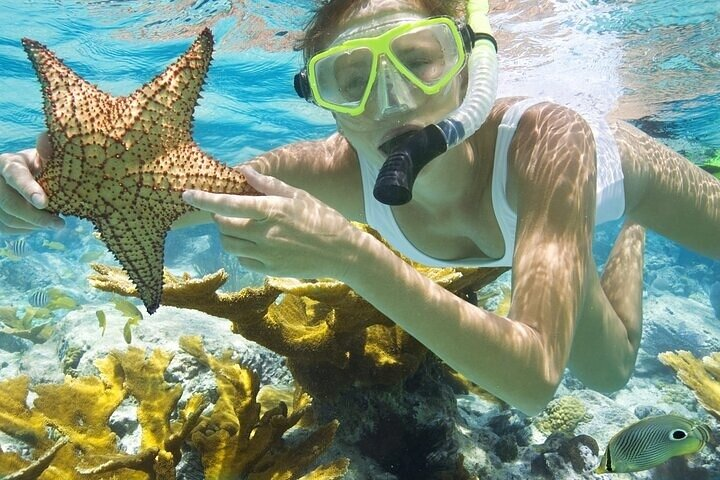 Rose Island Adventure Snorkel Sea Turtles and Private Beach - Photo 1 of 25