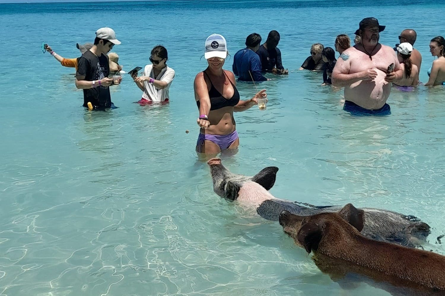 Rose Island: Half-Day 3 Island Tour - Photo 1 of 7