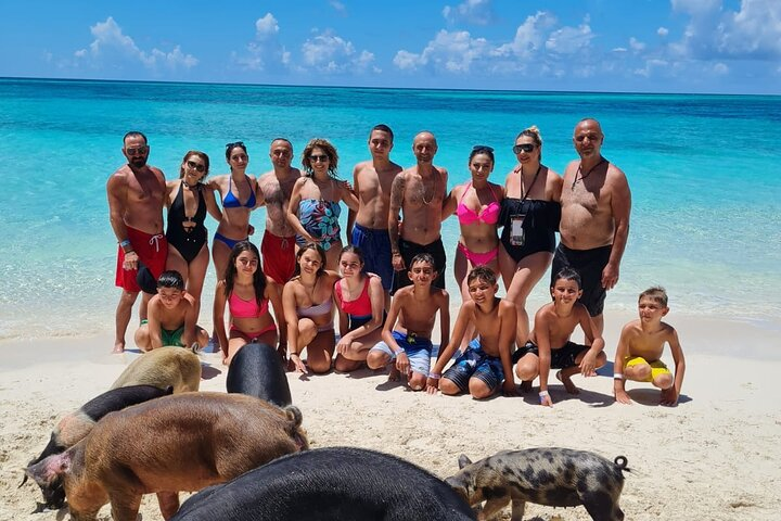 Athol Island Swimming Pigs Half-Day Boat Tour with Lunch - Photo 1 of 6