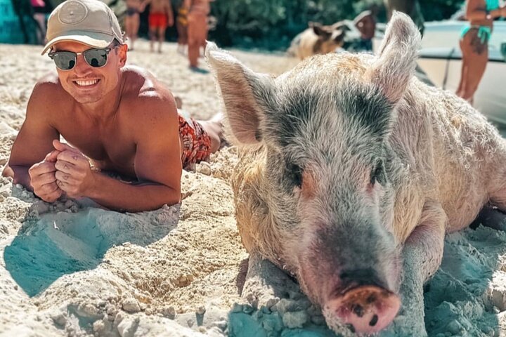 Exuma Day trip Iguanas,Sharks & Swimming Pigs Private Tour (8hrs) - Photo 1 of 7
