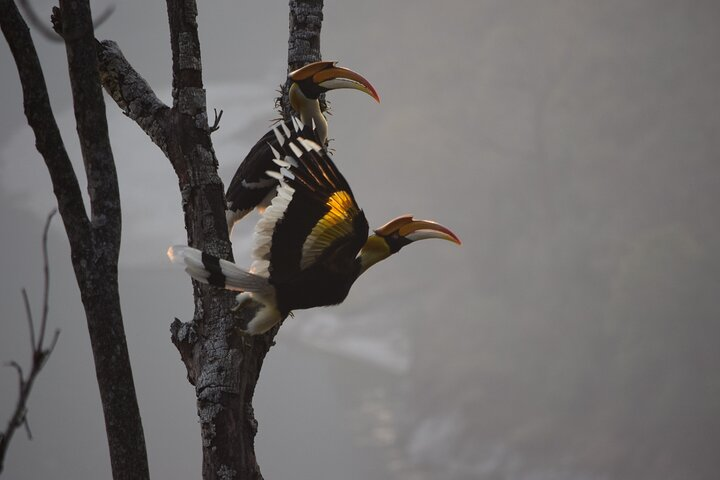 Thimphu City Tour - Photo 1 of 7