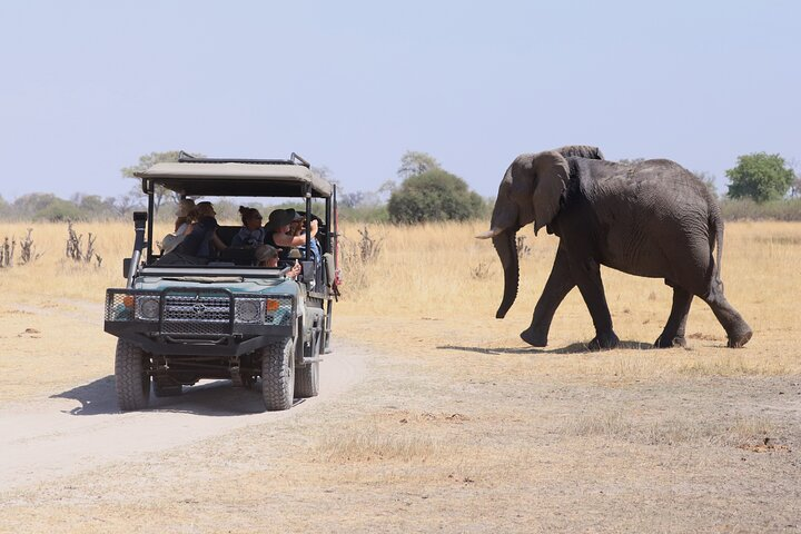 10 Days Botswana Mobile Tented Camping Tour - Photo 1 of 25
