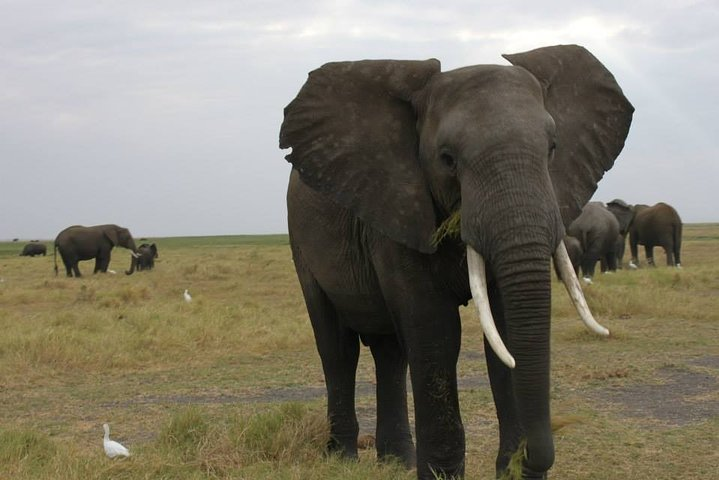 12Day WILDERNESS TRAIL: Okavango, Moremi & Chobe + Victoria Falls - Photo 1 of 25