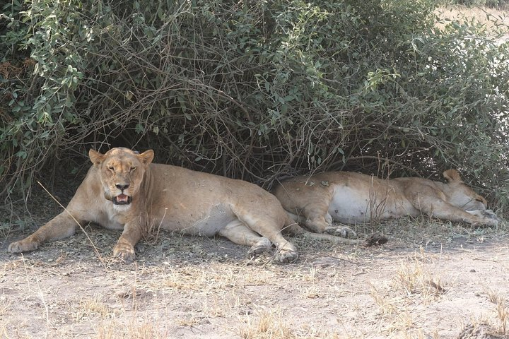 15 Day Mobile Camping Safari Botswana - Photo 1 of 6
