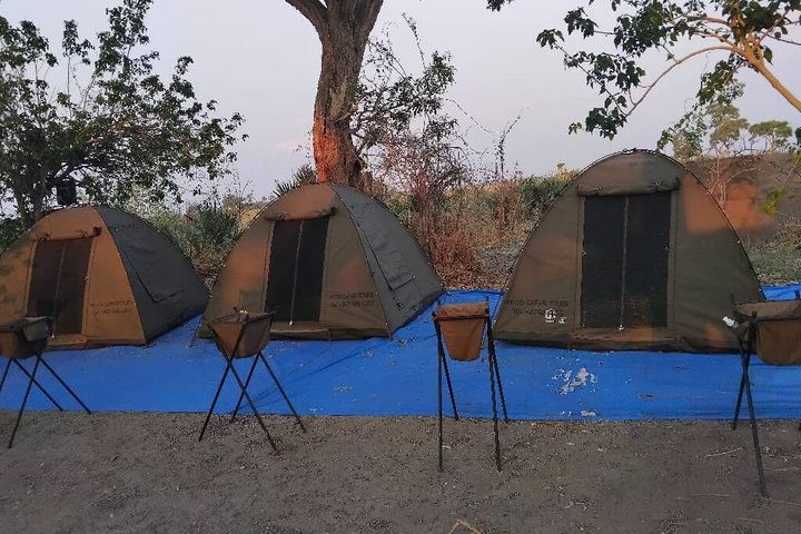 2 nights 3 days Overnight Mokoro Trail Okavango delta - Photo 1 of 14