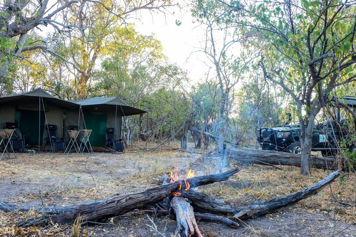 8 Days Moremi - Chobe Mobile Safari with Mukoro - Photo 1 of 25
