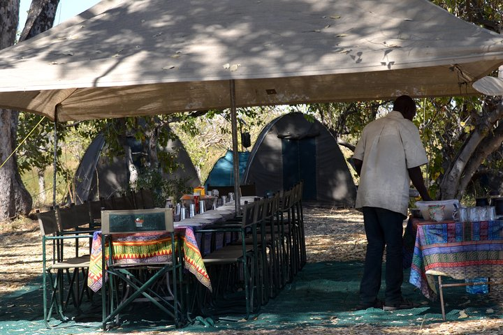 Join Our All-Inclusive 4-Day Safari Through Boteti, Pans & Delta - Photo 1 of 5