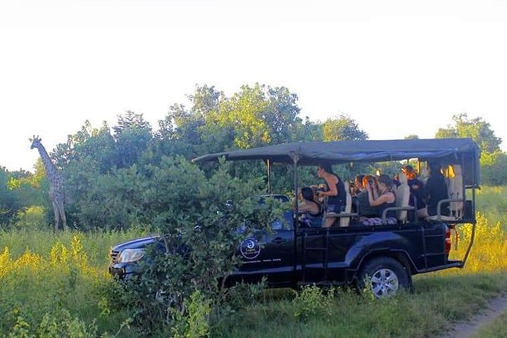 Game drive 