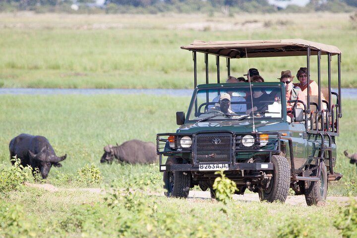 Boat Cruise And Game Drive in Chobe National Park  - Photo 1 of 13
