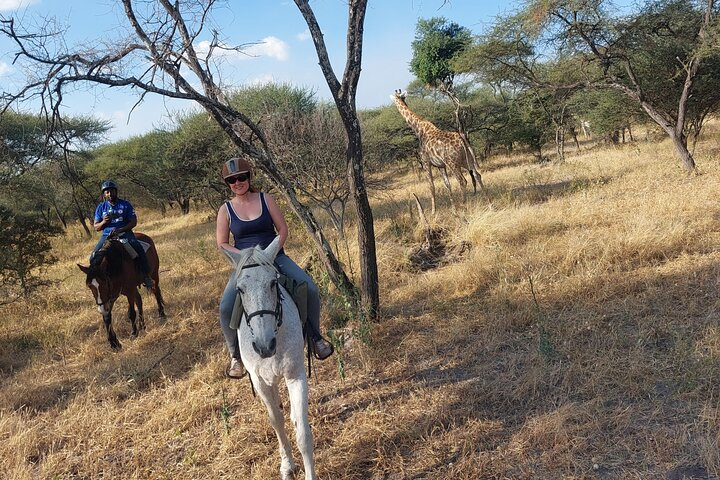 Maun Horse Riding Safari in Private Game Lodge  - Photo 1 of 7