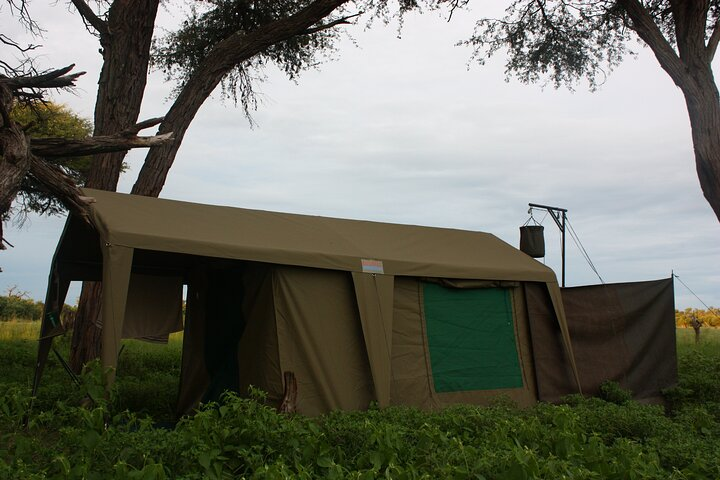 Steenbok Trail Safari - 7 Nights / 8 Days - Photo 1 of 9