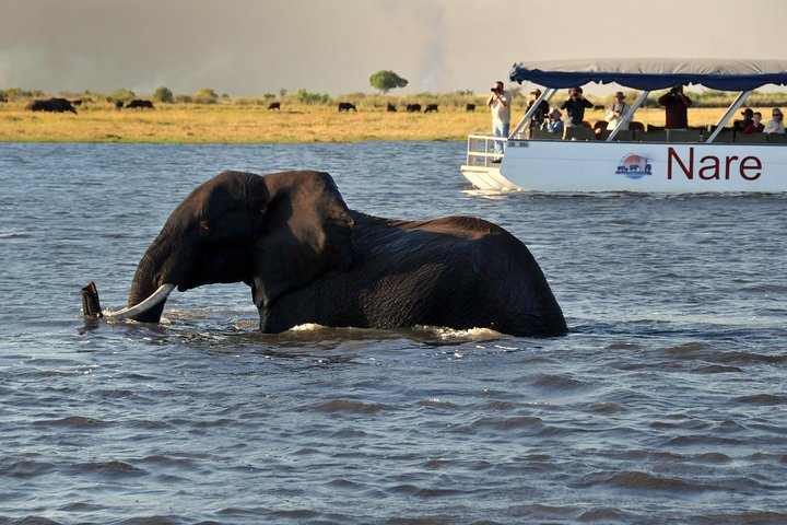 Chobe River Sunset Cruise