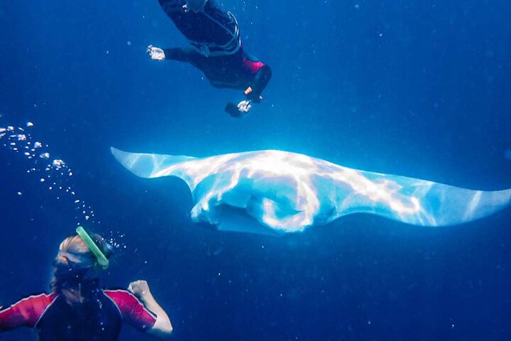 10-Day All-Inclusive Belize Tour First Class Custom Tour - Photo 1 of 25