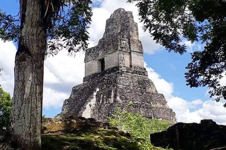 Historical Tikal Tour with Pick-up - Photo 1 of 5