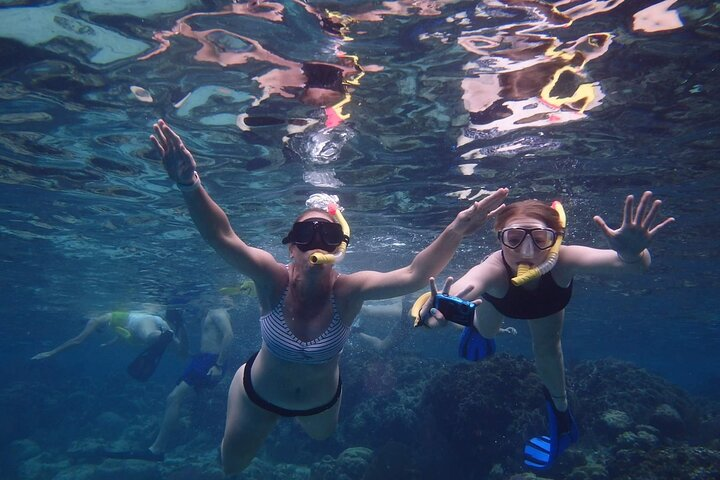 Fun Snorkeling 