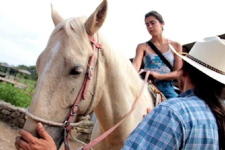 Friendly horses and cowboy guides