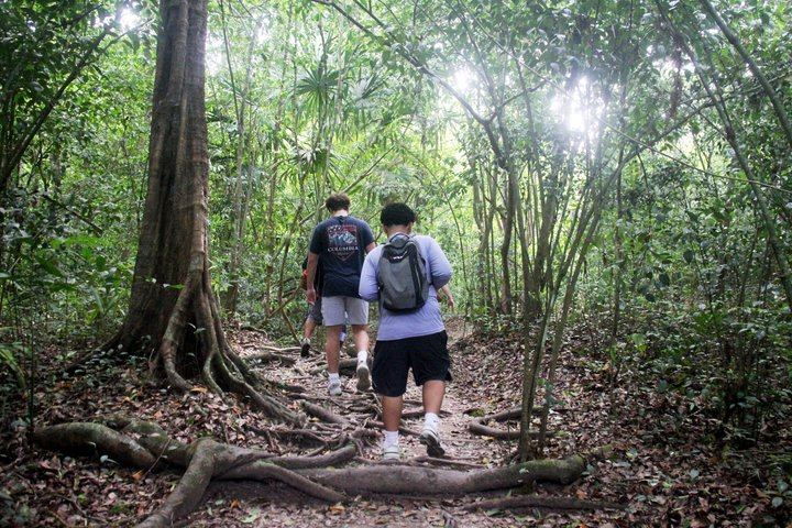 Mountain Pine Ridge & Jungle Hike: Waterfalls & Caves with Lunch - Photo 1 of 9