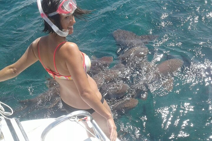 Semi-private Exclusive All-in-1 Full Day Guided Tour - Photo 1 of 5