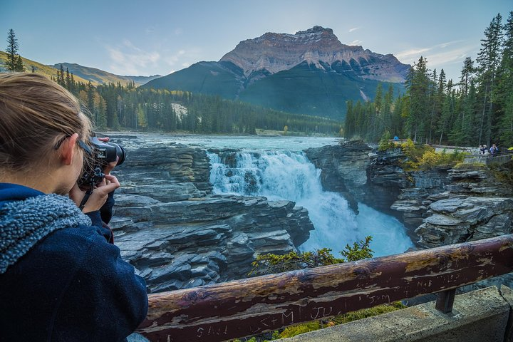 Admire the thunderous Athabasca Falls 